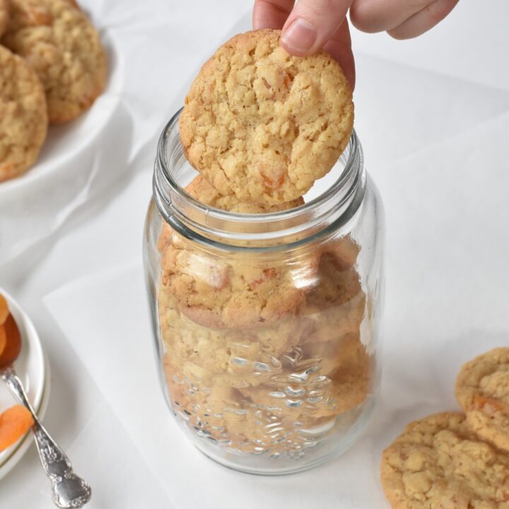 Apricot Oatmeal Cookie in Jar
