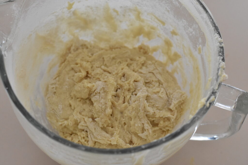 Shaggy dough sitting in bowl of electric mixer.