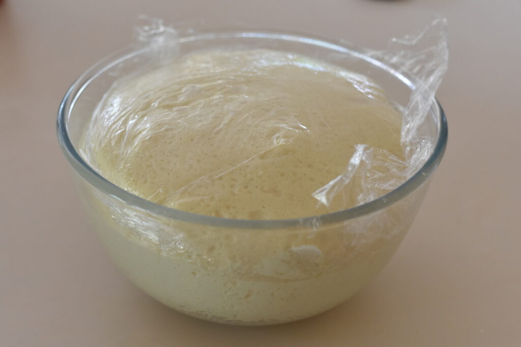 Dough ball after rising in mixing bowl.