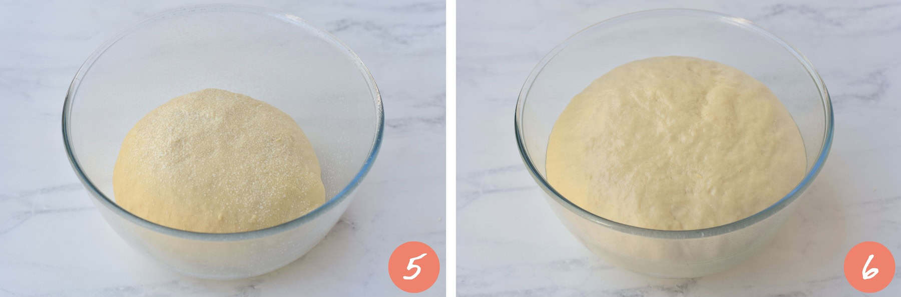 Dough before and after proofing.
