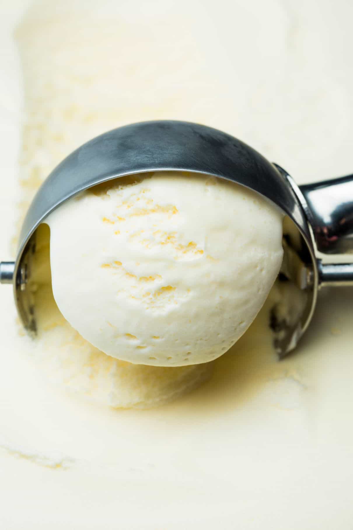 Ice cream scoop in vanilla ice cream