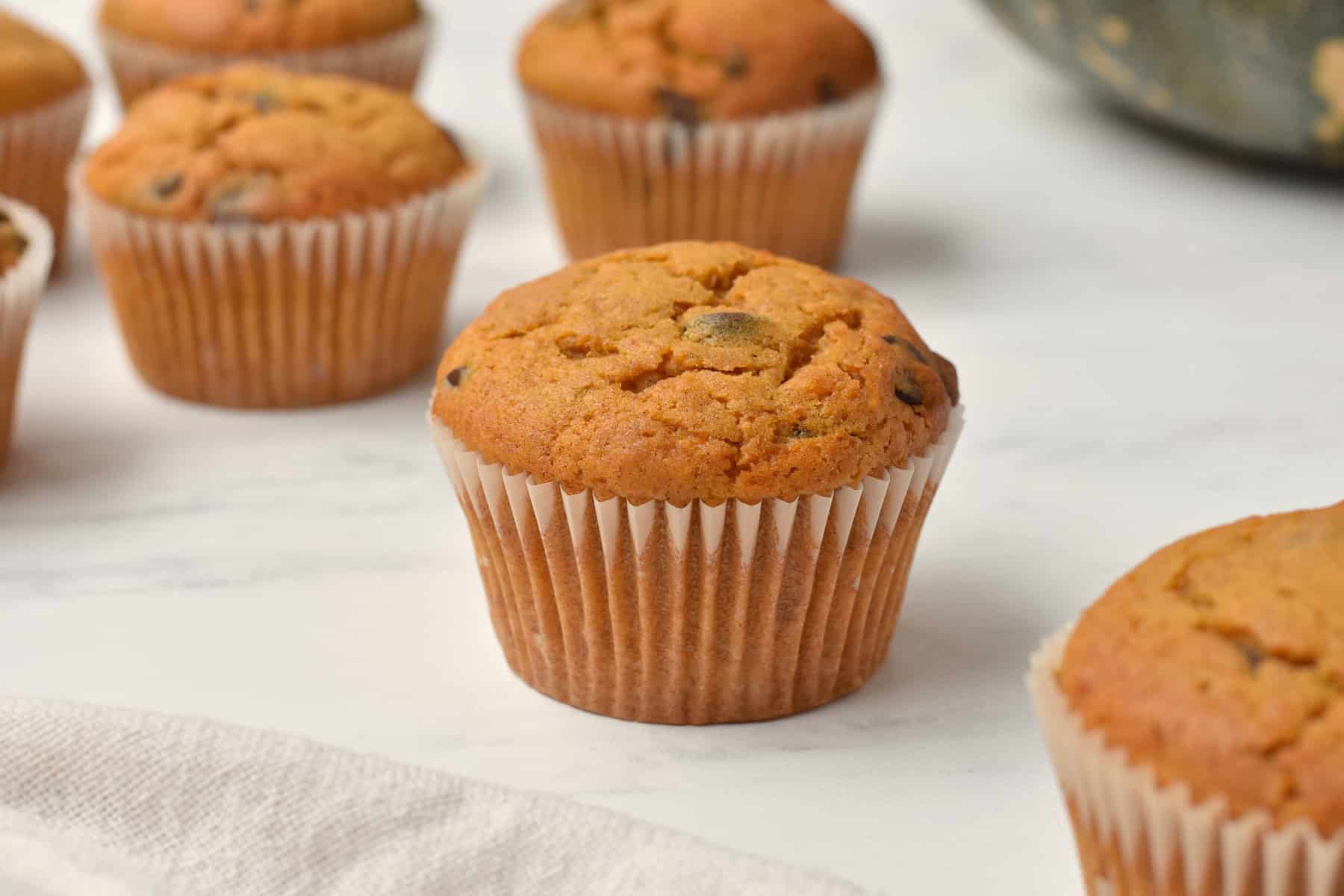 Chocolate chip pumpkin muffins on bench top.
