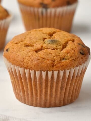 Chocolate chip pumpkin muffins on bench top.